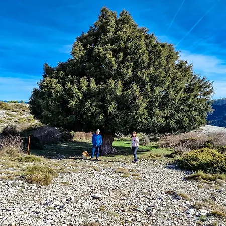 En Pleno Parque Natural Del Río Mundo Casa rural *