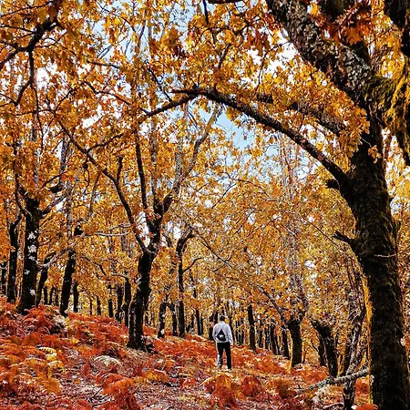 En Pleno Parque Natural Del Río Mundo *